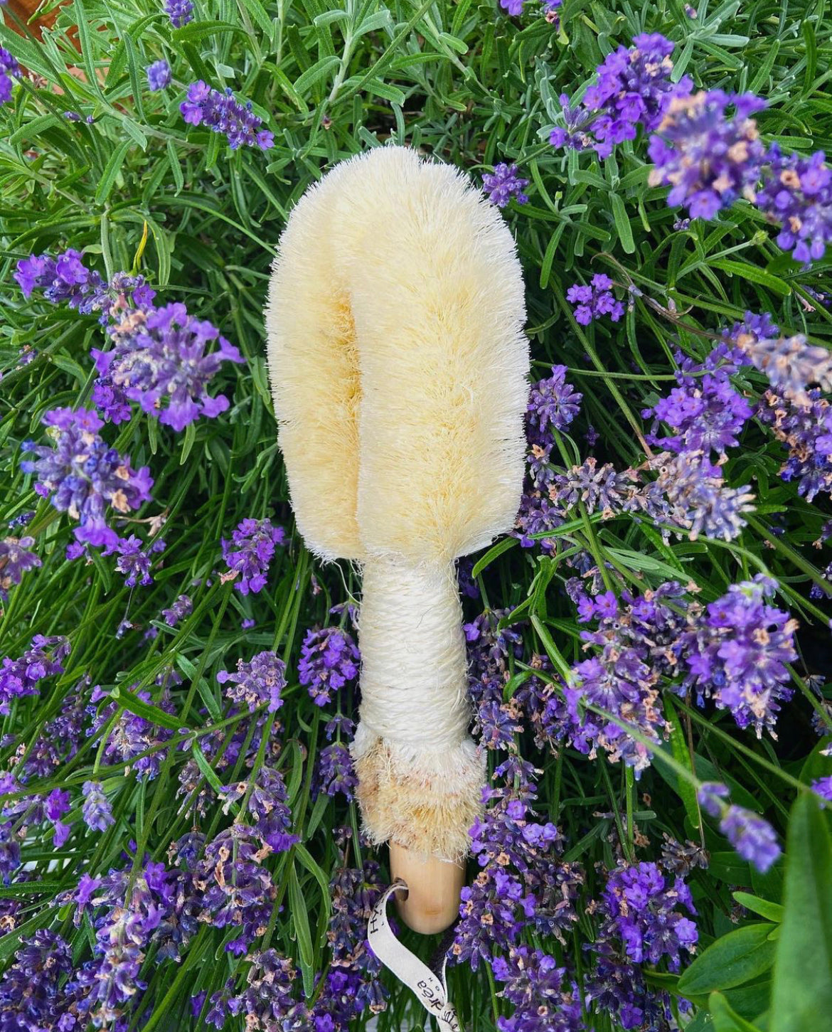 Japanese Body Brush